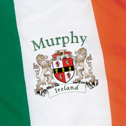 The Irish Rose Coat Of Arms Gifts Ireland Flags Glassware The Irish Rose Coat Of Arms Gifts Ireland Flags Glassware