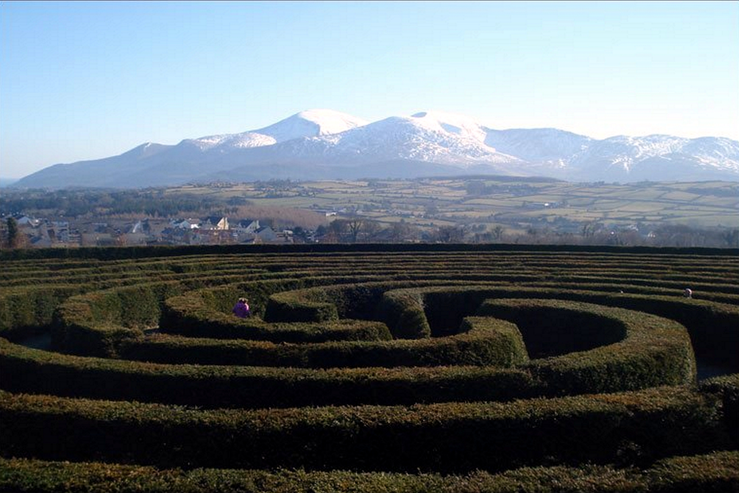 Peace Maze