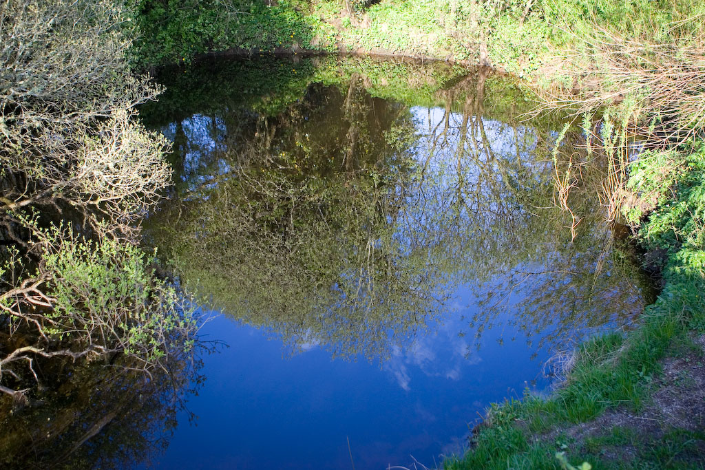 The Shannon Pot in County Cavan, Ireland