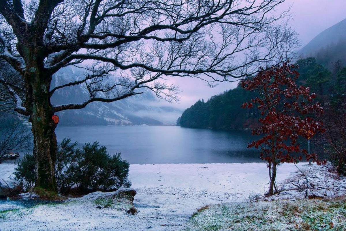 winter in Wicklow